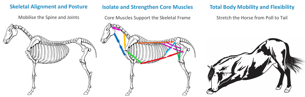 Battling with Box Rest or Restricted Turnout This Winter?