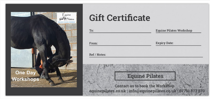 Pilates for Horses