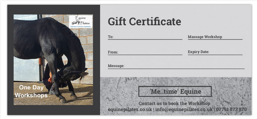 Pilates for Horses
