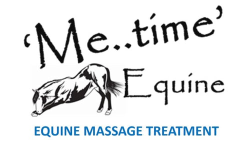 Treatment Equine Massage