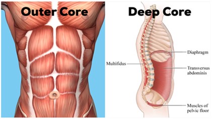 The Importance of Core Muscle Strength – Why We ALL Need It