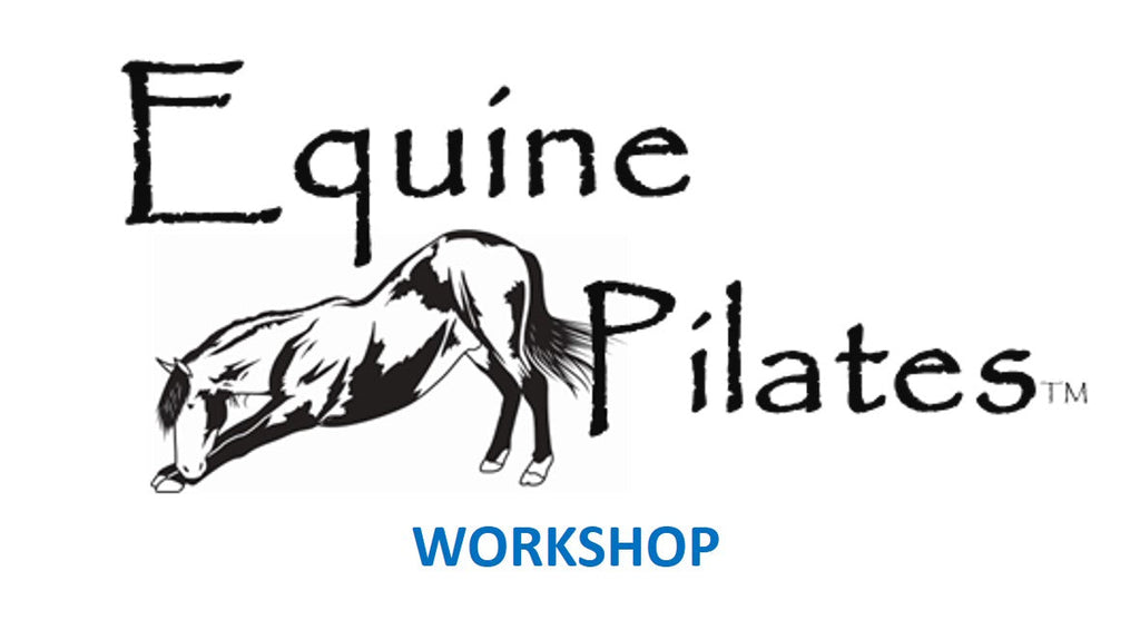 🐎 Unleash the Power of Equine Pilates: Unlock Your Horse's Potential 🐴