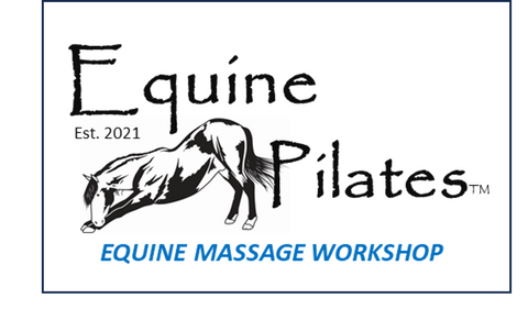 .Equine Massage Workshop