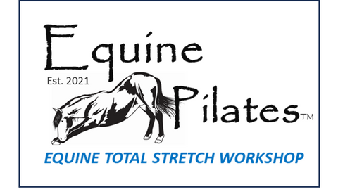 .Equine Pilates - Total Stretch Workshop