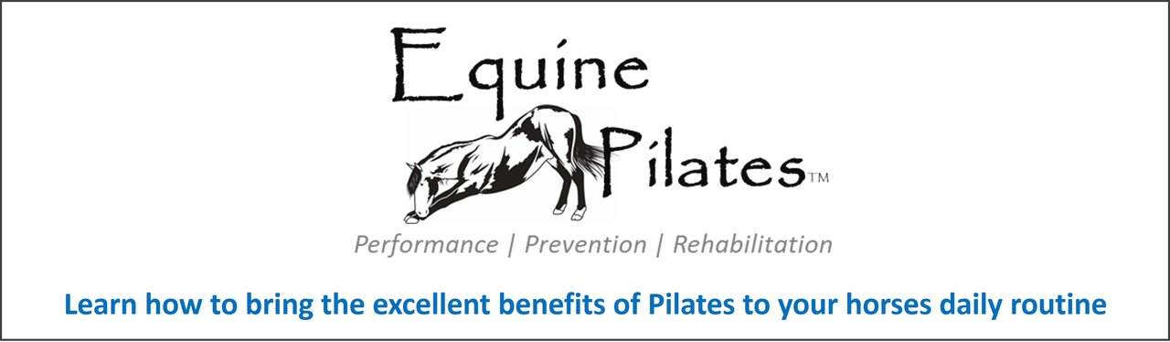 Pilates for Horses - Equine Pilates