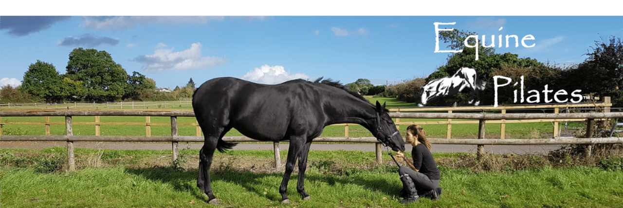 Equine Pilates exercises for horses